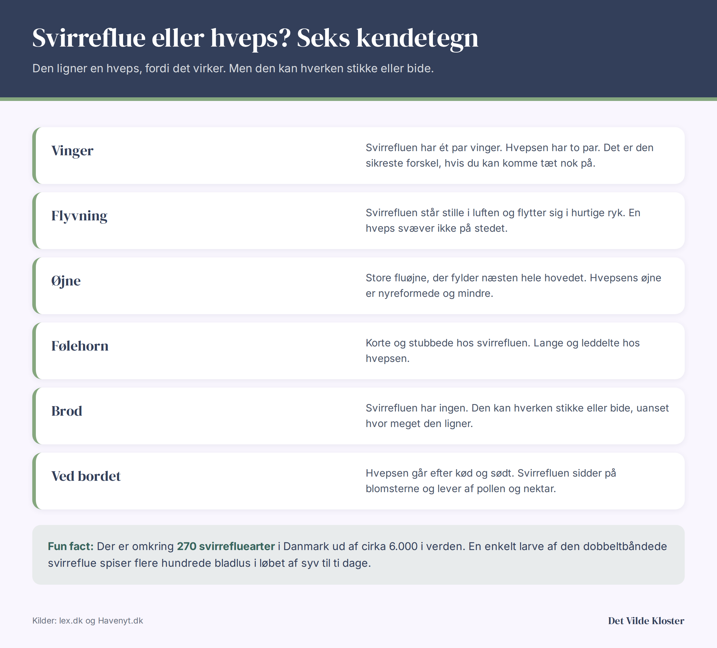 Infografik med seks kendetegn, der adskiller en svirreflue fra en hveps: vinger, flyvning, øjne, følehorn, brod og adfærd ved havebordet.