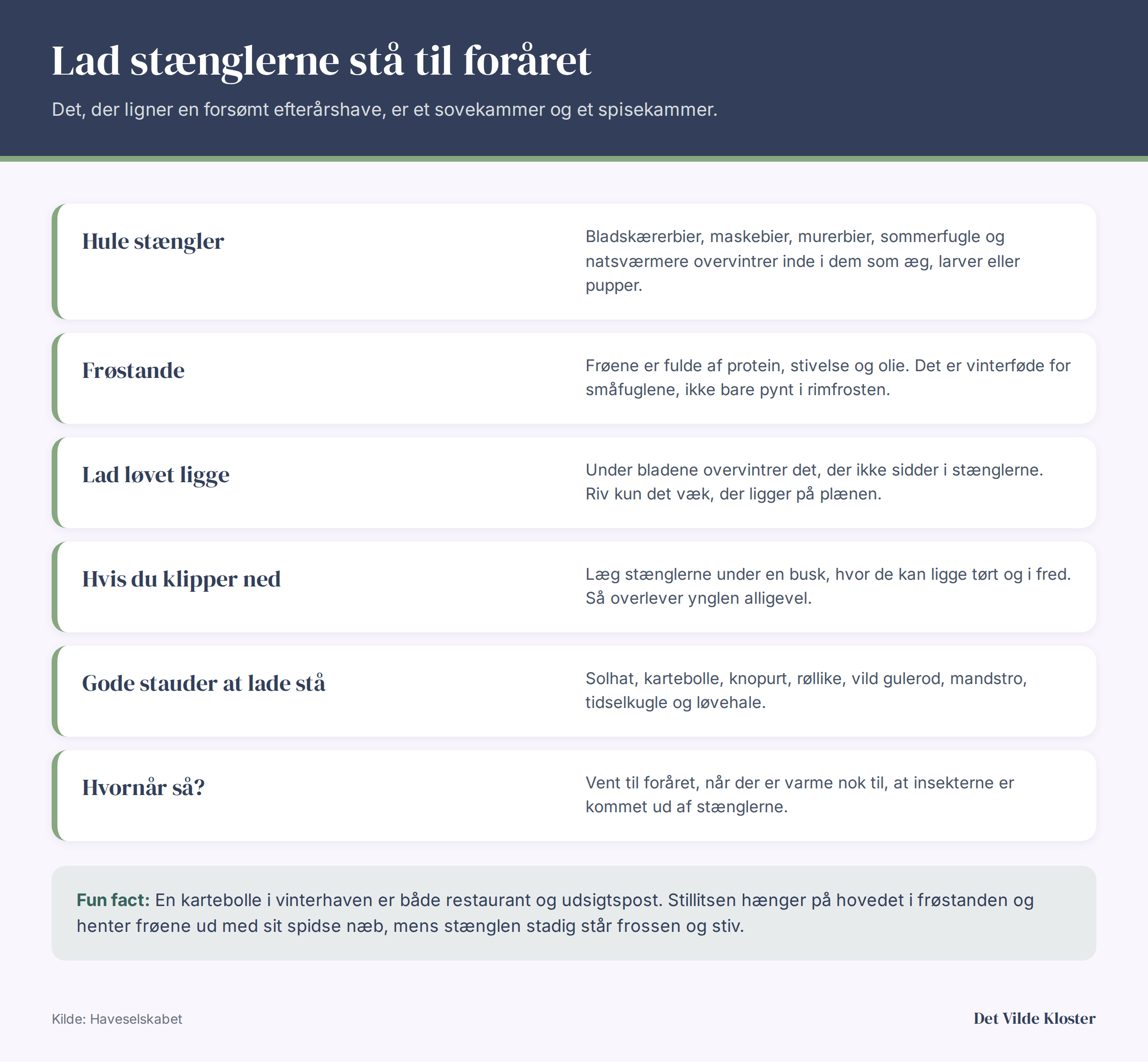 Infografik: derfor skal stauderne blive stående vinteren over. Hule stængler huser overvintrende bier og sommerfugle, frøstande er vinterføde for fugle, og nedklippede stængler kan lægges under buske.